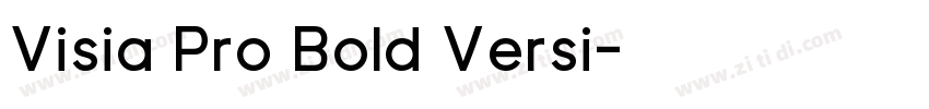 Visia Pro Bold Versi字体转换